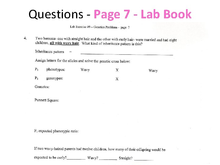 Questions - Page 7 - Lab Book 