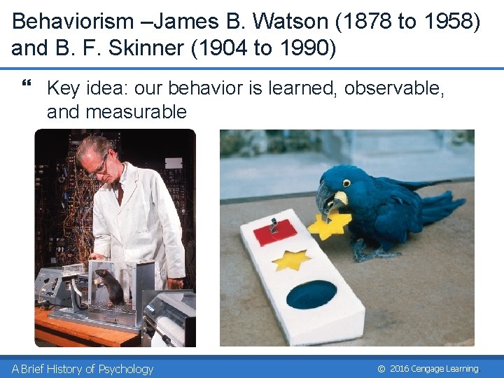 Behaviorism –James B. Watson (1878 to 1958) and B. F. Skinner (1904 to 1990)