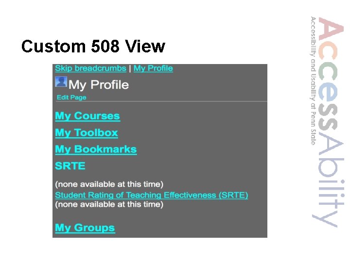 Custom 508 View 