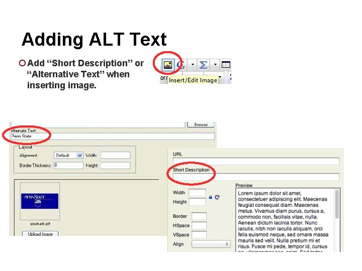 Adding ALT Text ¡ Add “Short Description” or “Alternative Text” when inserting image. 