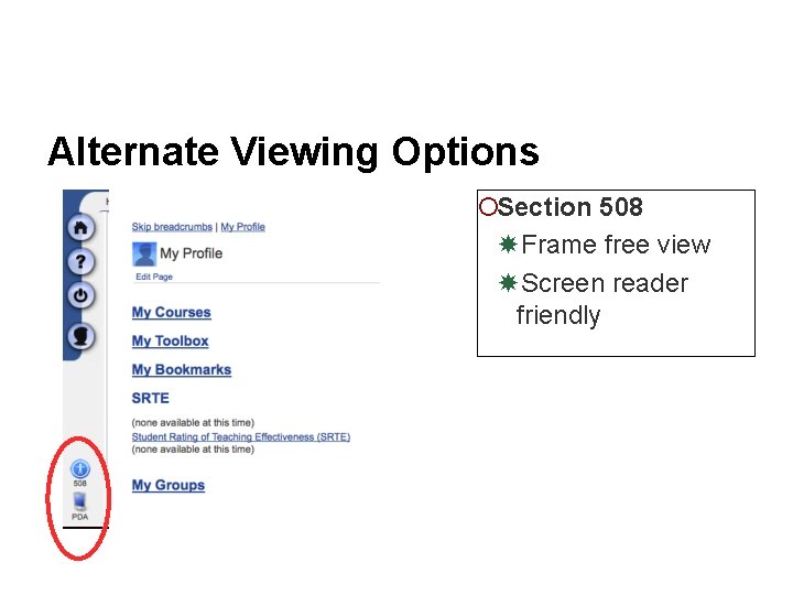 Alternate Viewing Options ¡Section 508 Frame free view Screen reader friendly 