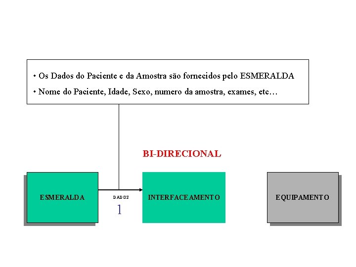  • Os Dados do Paciente e da Amostra são fornecidos pelo ESMERALDA •