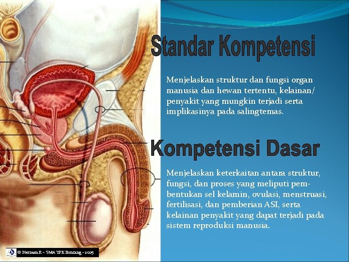 Menjelaskan struktur dan fungsi organ manusia dan hewan tertentu, kelainan/ penyakit yang mungkin terjadi