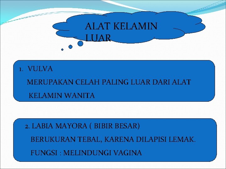 ALAT KELAMIN LUAR 1. VULVA MERUPAKAN CELAH PALING LUAR DARI ALAT KELAMIN WANITA 2.