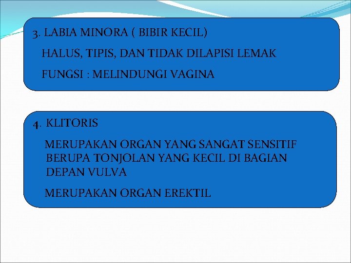 3. LABIA MINORA ( BIBIR KECIL) HALUS, TIPIS, DAN TIDAK DILAPISI LEMAK FUNGSI :