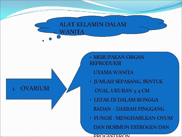 ALAT KELAMIN DALAM WANITA • MERUPAKAN ORGAN REPRODUKSI UTAMA WANITA 1. OVARIUM • JUMLAH