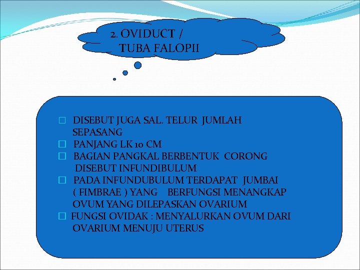 2. OVIDUCT / TUBA FALOPII � DISEBUT JUGA SAL. TELUR JUMLAH � � SEPASANG