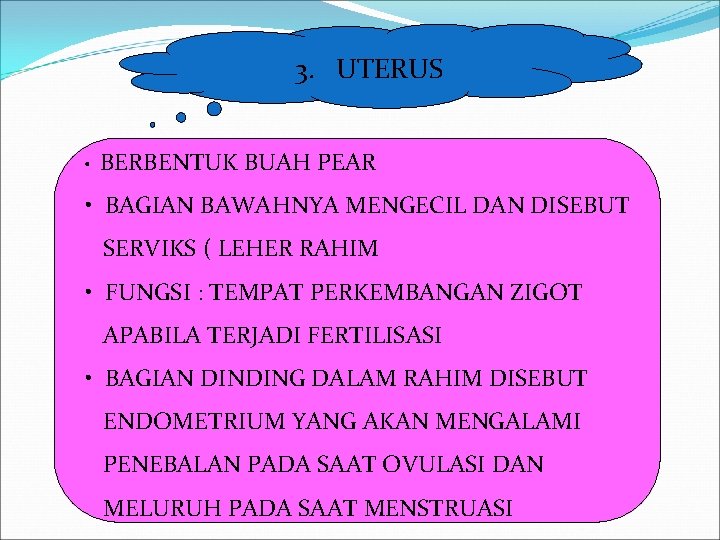 3. UTERUS • BERBENTUK BUAH PEAR • BAGIAN BAWAHNYA MENGECIL DAN DISEBUT SERVIKS (