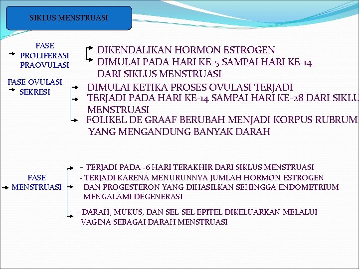 SIKLUS MENSTRUASI FASE PROLIFERASI PRAOVULASI FASE OVULASI SEKRESI DIKENDALIKAN HORMON ESTROGEN DIMULAI PADA HARI