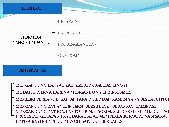 KELAHIRAN RELAKSIN HORMON YANG MEMBANTU ESTROGEN PROSTAGLANDIDN OKSITOSIN PEMBERIAN ASI MENGANDUNG BANYAK ZAT GIZI