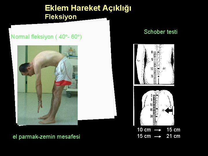 Eklem Hareket Açıklığı Fleksiyon Normal fleksiyon ( 40 - 60 ) el parmak-zemin mesafesi