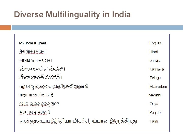 Diverse Multilinguality in India 
