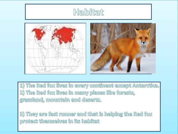 Habitat Map showing where your animal lives Picture showing your animal in its habitat.