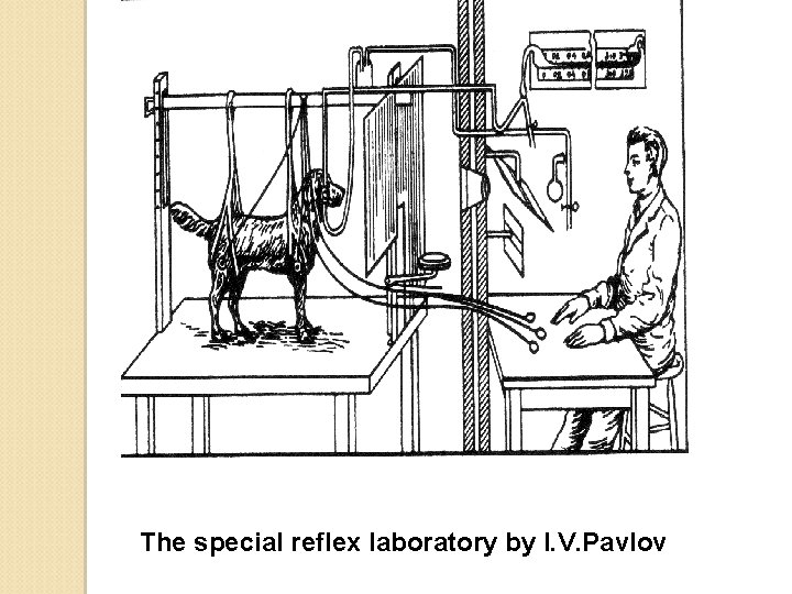 The special reflex laboratory by I. V. Pavlov 
