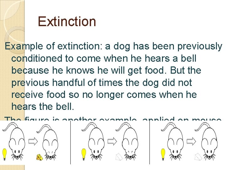 Extinction Example of extinction: a dog has been previously conditioned to come when he