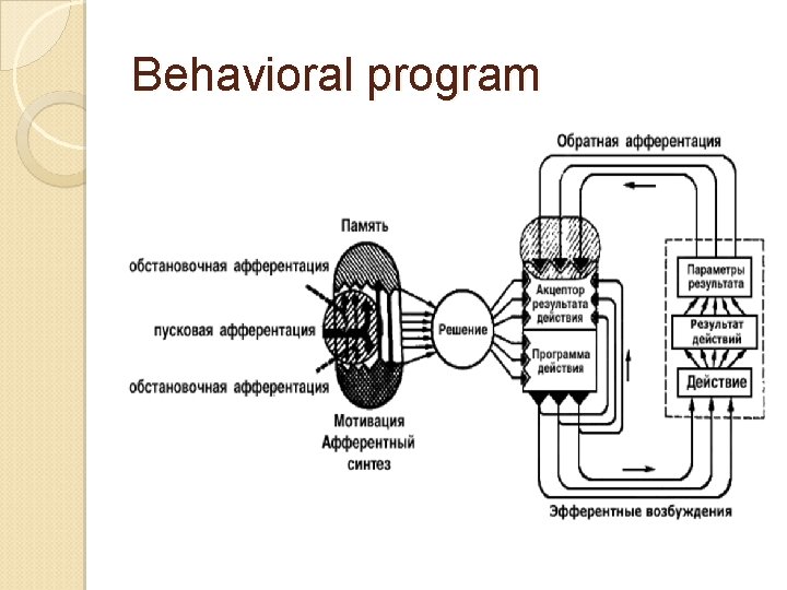 Behavioral program 