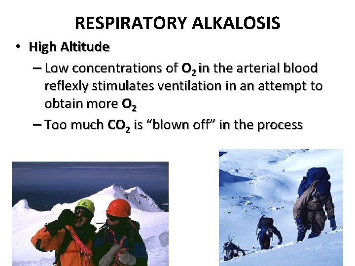 RESPIRATORY ALKALOSIS • High Altitude – Low concentrations of O 2 in the arterial