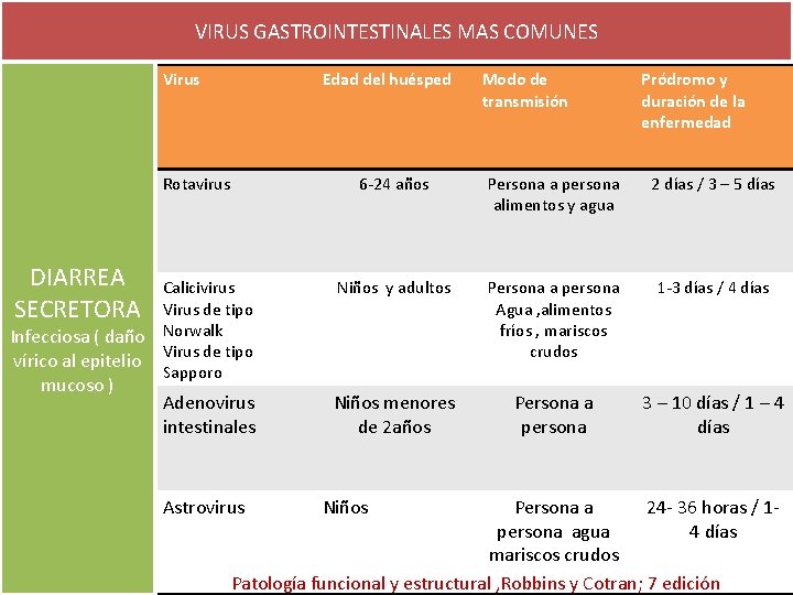 VIRUS GASTROINTESTINALES MAS COMUNES Virus Edad del huésped Rotavirus Modo de transmisión Pródromo y