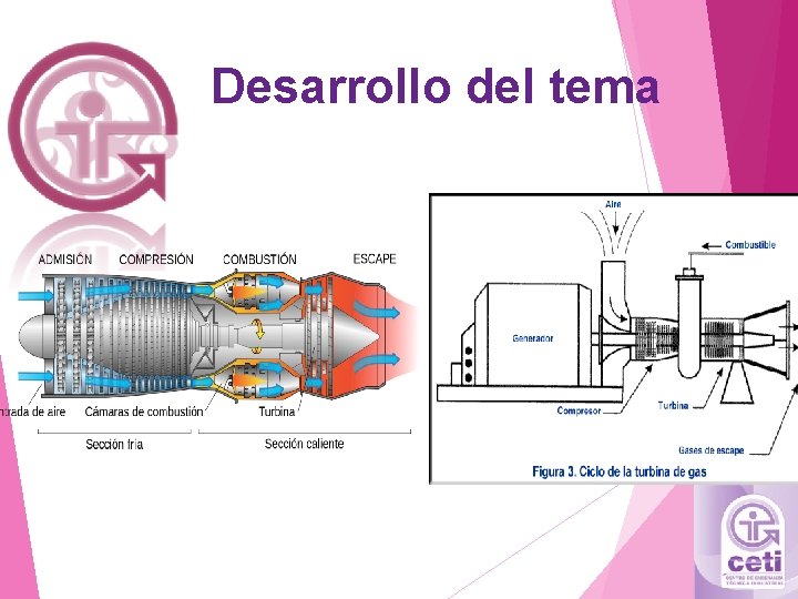 Desarrollo del tema 