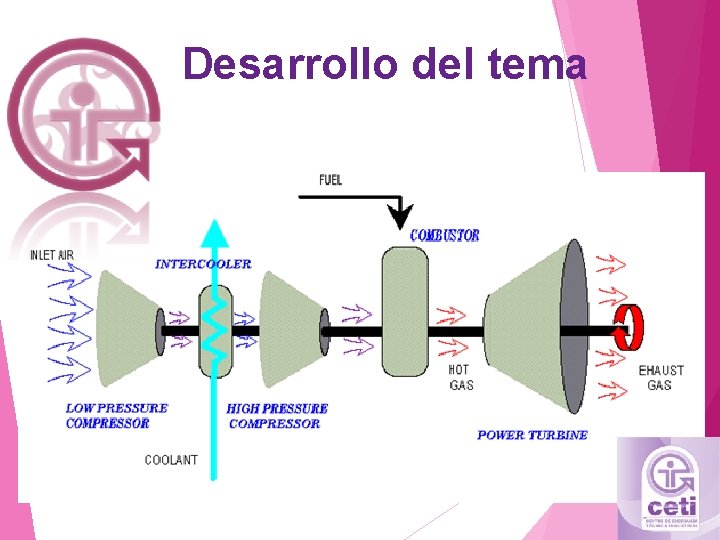 Desarrollo del tema 