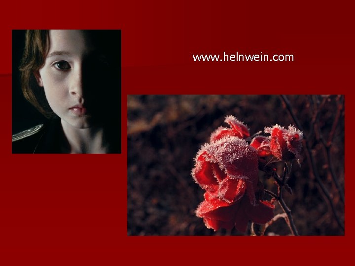 www. helnwein. com 