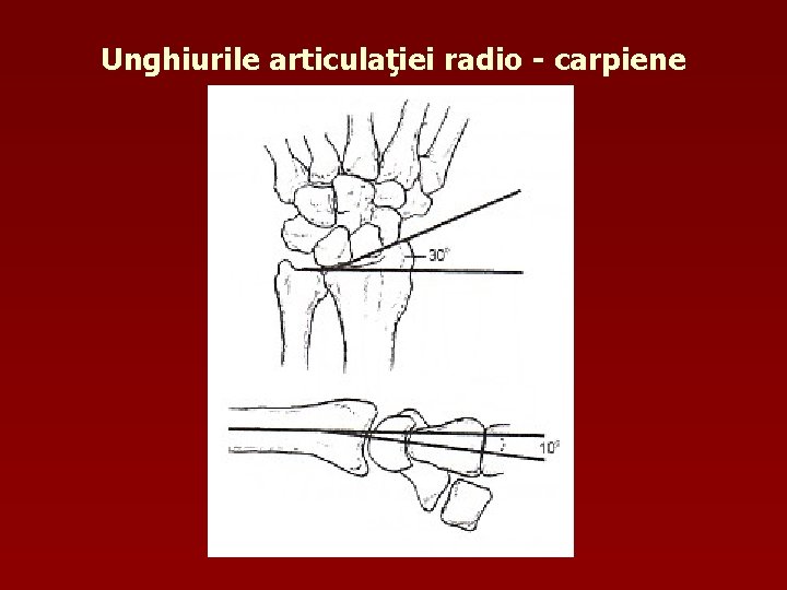 Unghiurile articulaţiei radio - carpiene 