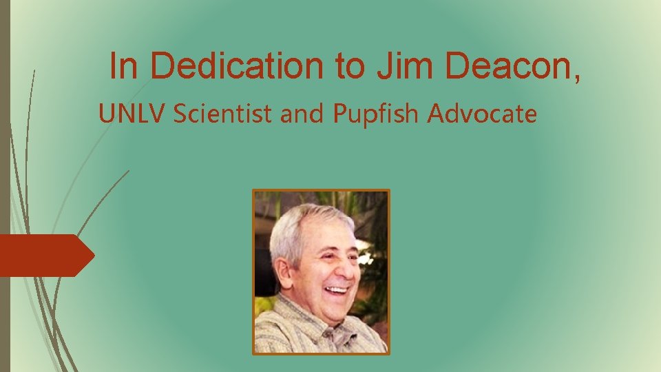 In Dedication to Jim Deacon, UNLV Scientist and Pupfish Advocate 