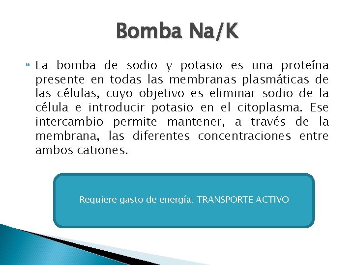 Bomba Na/K La bomba de sodio y potasio es una proteína presente en todas