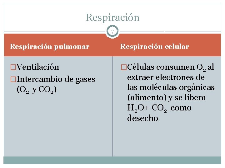 Respiración 7 Respiración pulmonar Respiración celular �Ventilación �Células consumen O 2 al �Intercambio de
