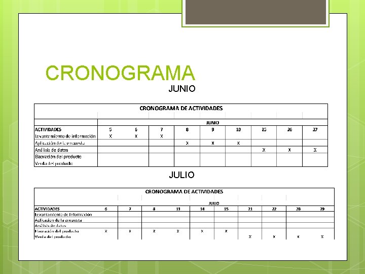 CRONOGRAMA JUNIO JULIO 