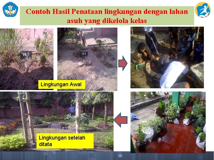 Contoh Hasil Penataan lingkungan dengan lahan asuh yang dikelola kelas Lingkungan Awal Lingkungan setelah