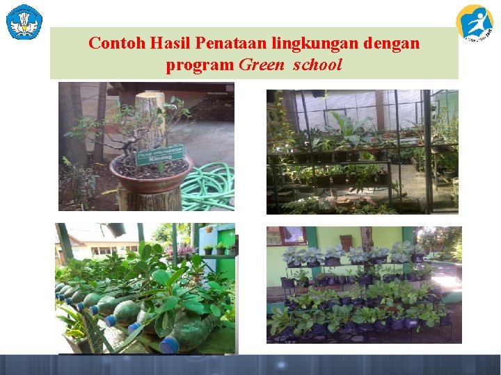 Contoh Hasil Penataan lingkungan dengan program Green school 
