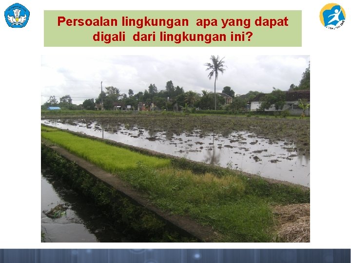 Persoalan lingkungan apa yang dapat digali dari lingkungan ini? 