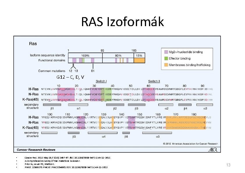 RAS Izoformák G 12 – C, D, V • • Cancer Res. 2012 May RAS Izoformák G 12 – C, D, V • • Cancer Res. 2012 May