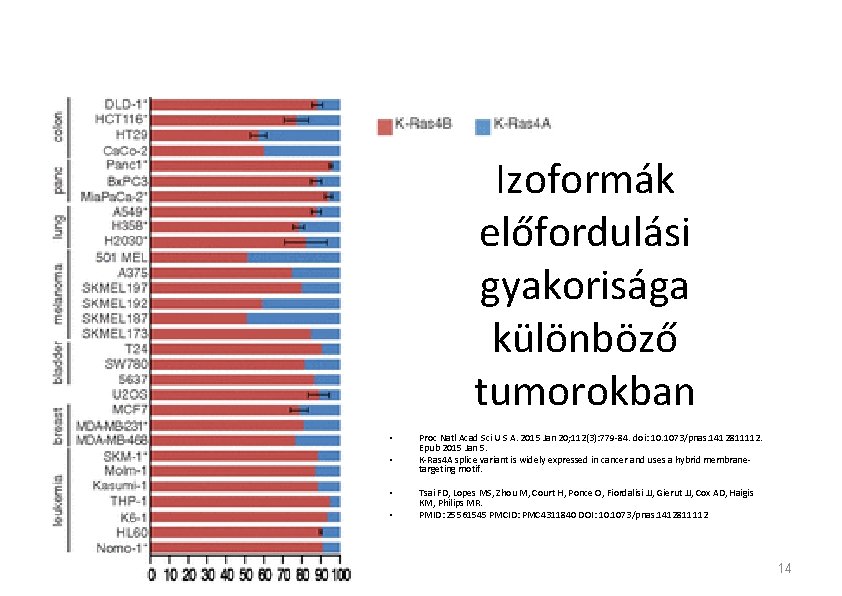 Izoformák előfordulási gyakorisága különböző tumorokban • • Proc Natl Acad Sci U S A. Izoformák előfordulási gyakorisága különböző tumorokban • • Proc Natl Acad Sci U S A.