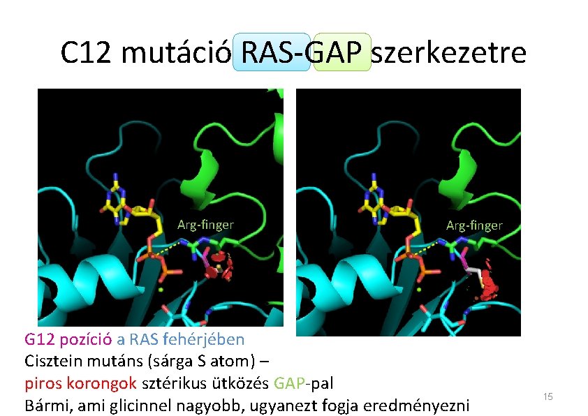 C 12 mutáció RAS-GAP szerkezetre Arg-finger G 12 pozíció a RAS fehérjében Cisztein mutáns C 12 mutáció RAS-GAP szerkezetre Arg-finger G 12 pozíció a RAS fehérjében Cisztein mutáns
