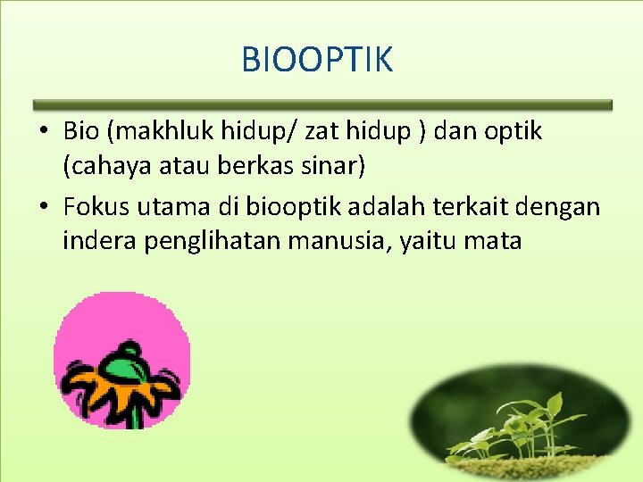 BIOOPTIK • Bio (makhluk hidup/ zat hidup ) dan optik (cahaya atau berkas sinar)