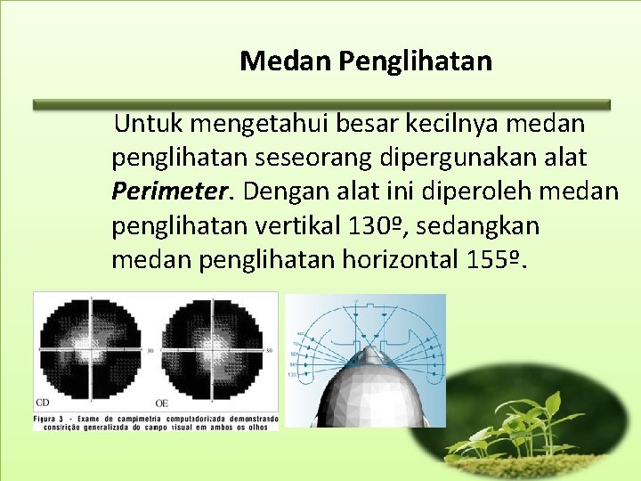 Medan Penglihatan Untuk mengetahui besar kecilnya medan penglihatan seseorang dipergunakan alat Perimeter. Dengan alat