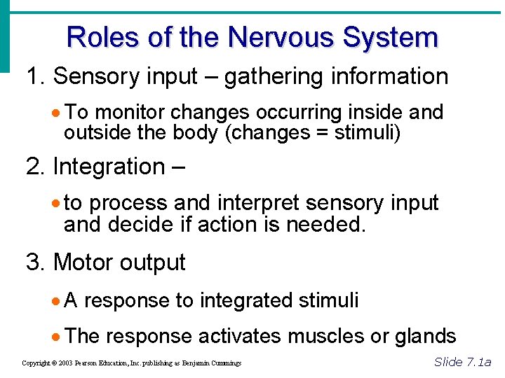 Roles of the Nervous System 1. Sensory input – gathering information · To monitor
