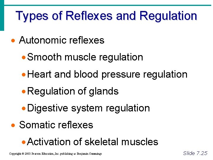 Types of Reflexes and Regulation · Autonomic reflexes · Smooth muscle regulation · Heart