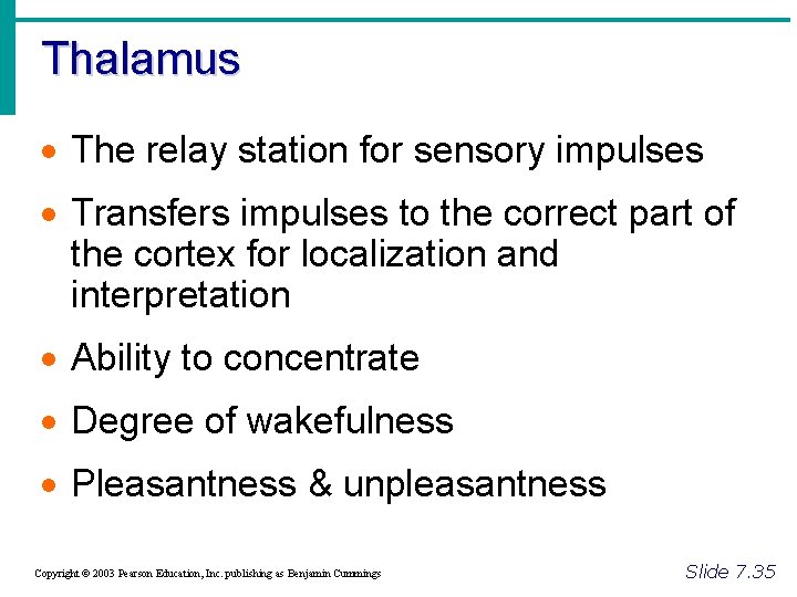 Thalamus · The relay station for sensory impulses · Transfers impulses to the correct