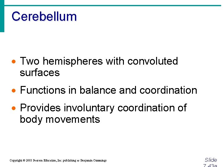 Cerebellum · Two hemispheres with convoluted surfaces · Functions in balance and coordination ·