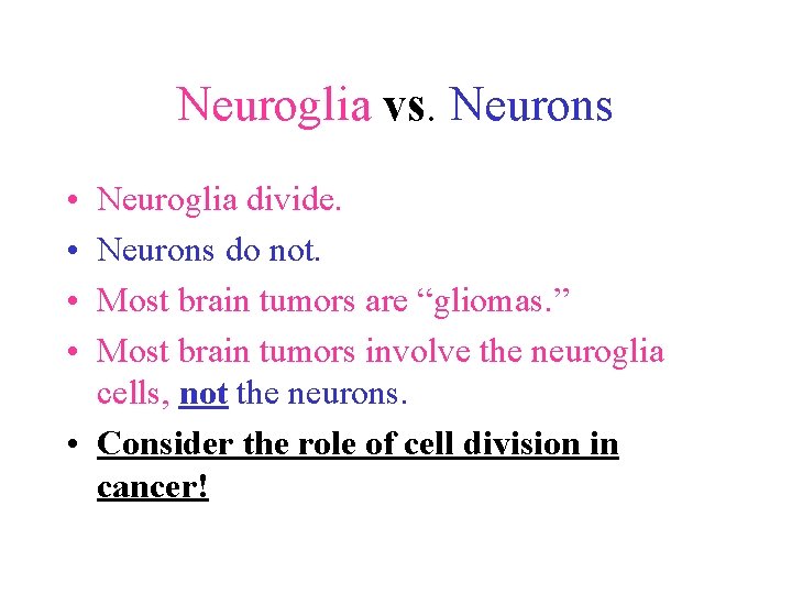 Neuroglia vs. Neurons • • Neuroglia divide. Neurons do not. Most brain tumors are