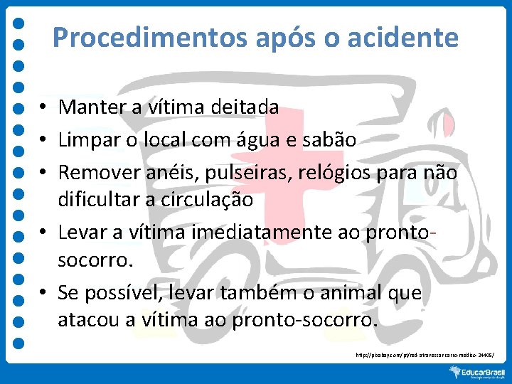 Procedimentos após o acidente • Manter a vítima deitada • Limpar o local com