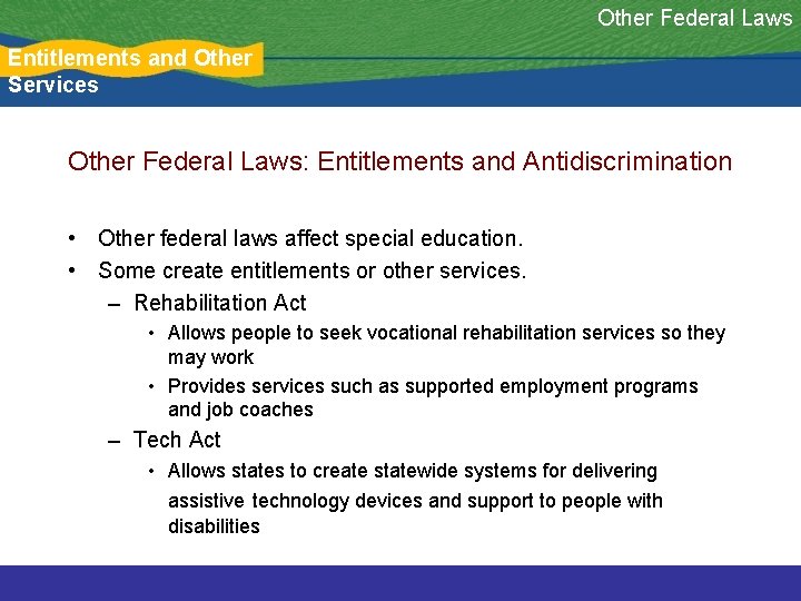 Other Federal Laws Entitlements and Other Services Other Federal Laws: Entitlements and Antidiscrimination •