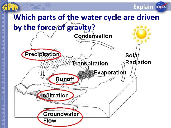 Explain Which parts of the water cycle are driven by the force of gravity?