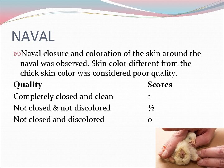 NAVAL Naval closure and coloration of the skin around the naval was observed. Skin