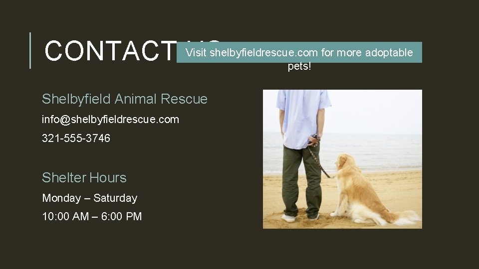 Visit shelbyfieldrescue. com for more adoptable CONTACT US pets! Shelbyfield Animal Rescue info@shelbyfieldrescue. com