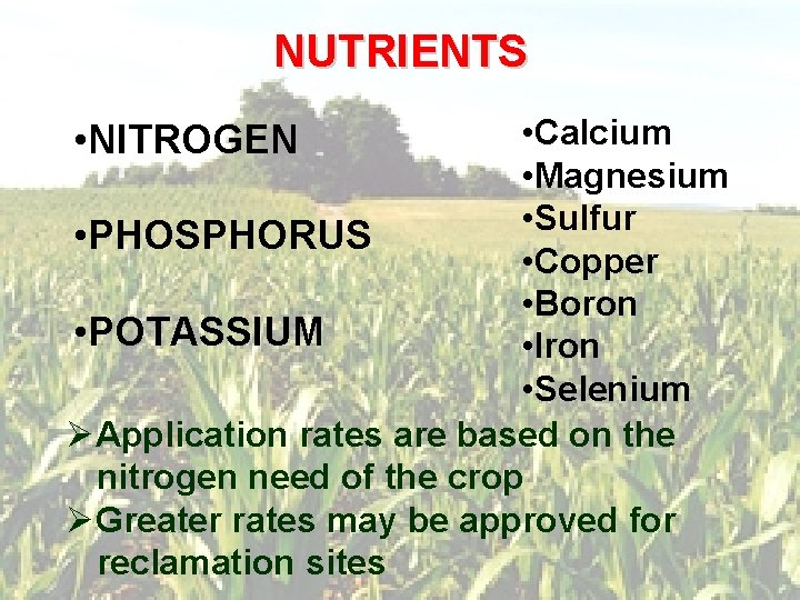 NUTRIENTS • Calcium • Magnesium • Sulfur • PHOSPHORUS • Copper • Boron •