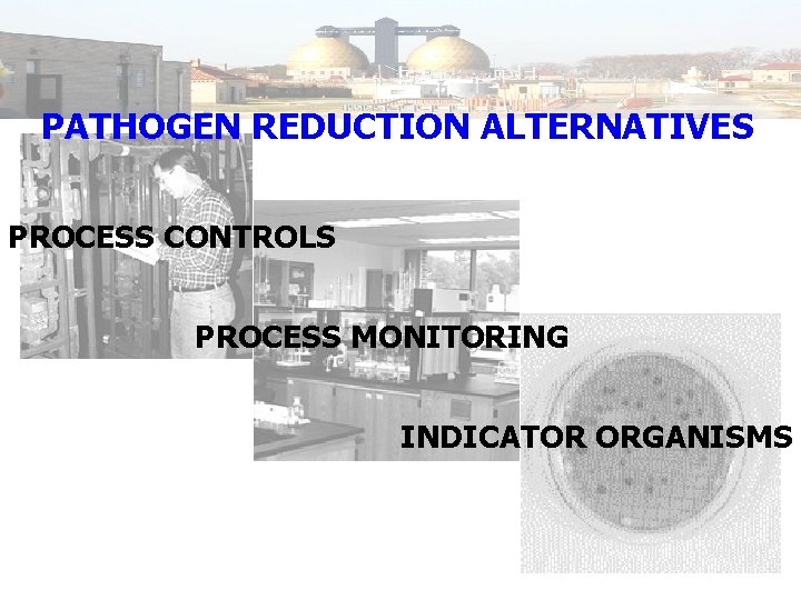 PATHOGEN REDUCTION ALTERNATIVES PROCESS CONTROLS PROCESS MONITORING INDICATOR ORGANISMS 